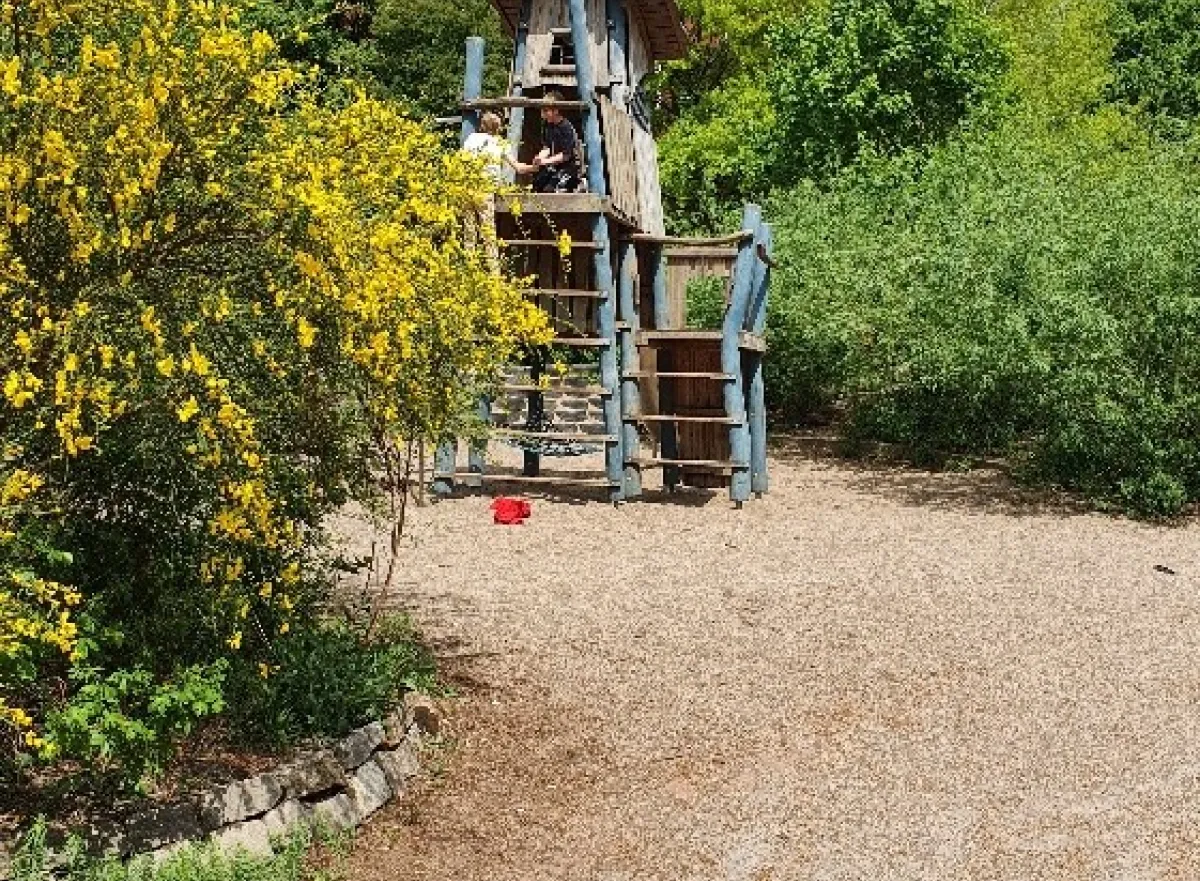 Speelplaats met bomen en speeltuig