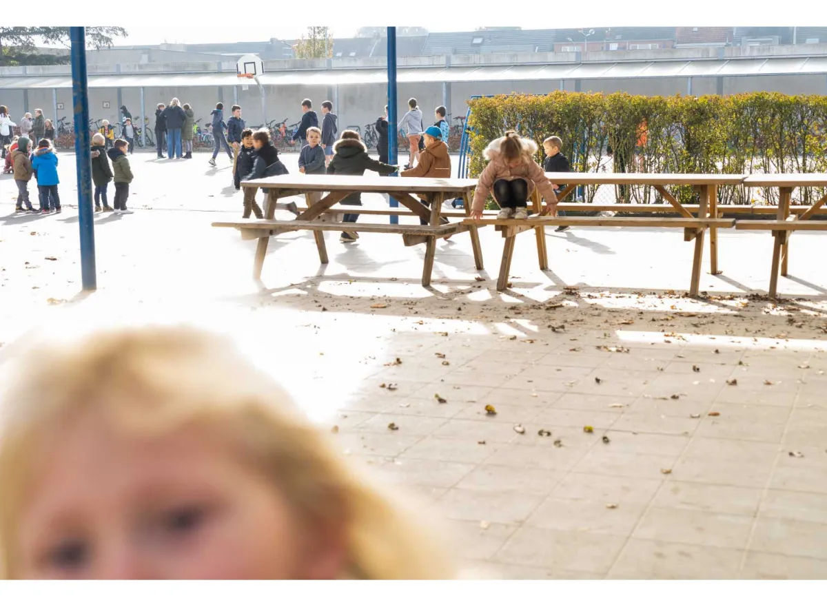 Kinderens spelen op de speelplaats