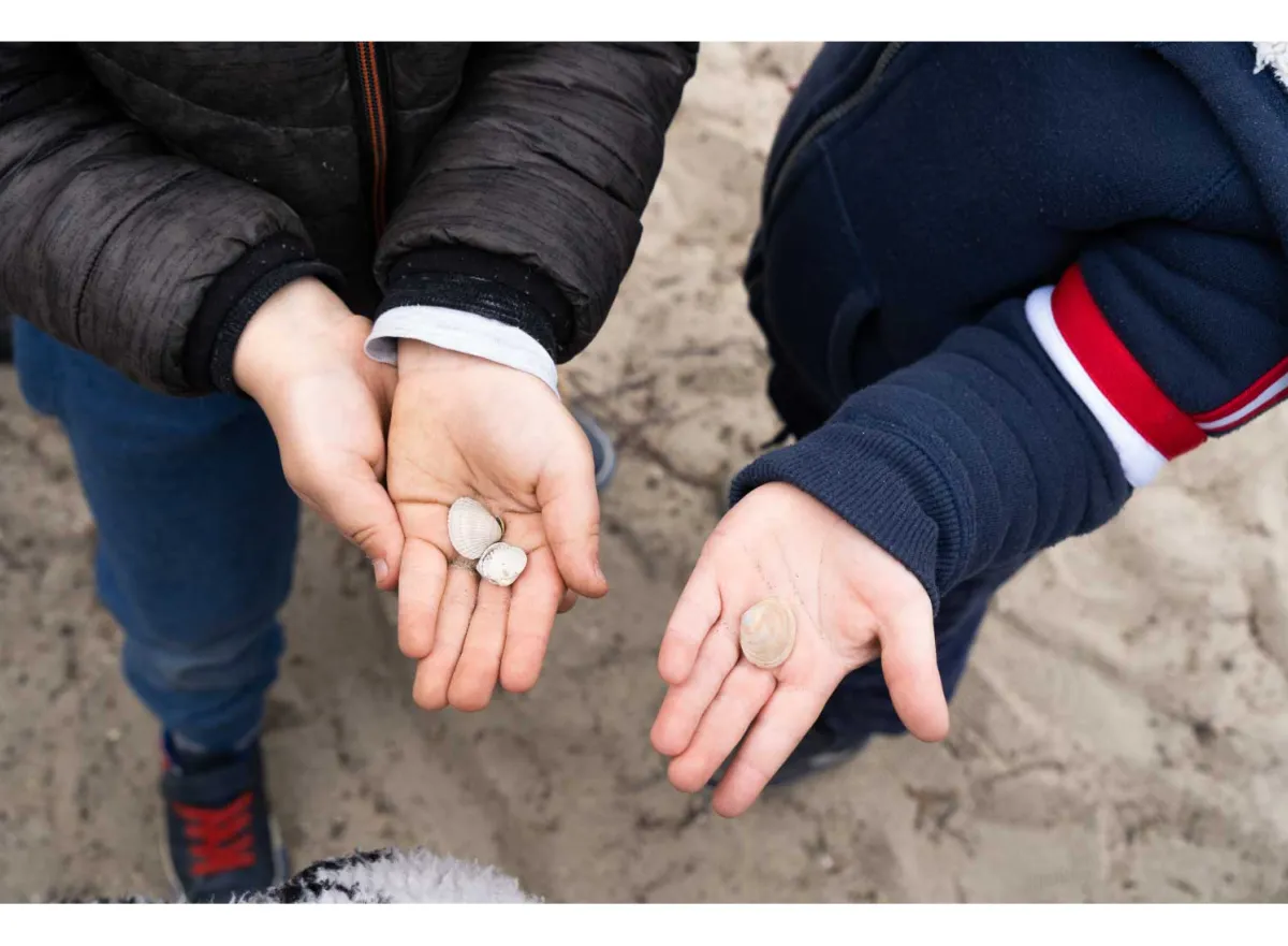 Kinderen laten schelpen in hun hand zien